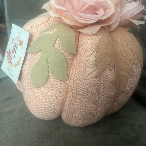 new - Holiday Fall Pumkin Decor - Picture 4 of 7